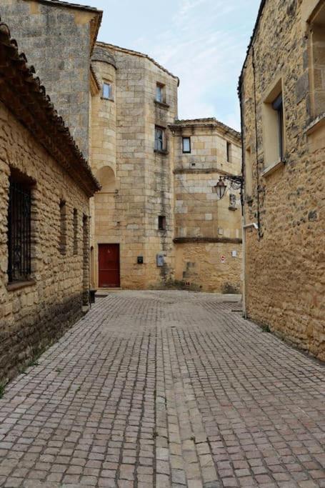 Entre Uzes Et Le Pont-Du-Gard Le Logis D'Autrefois Διαμέρισμα Castillon-du-Gard Εξωτερικό φωτογραφία