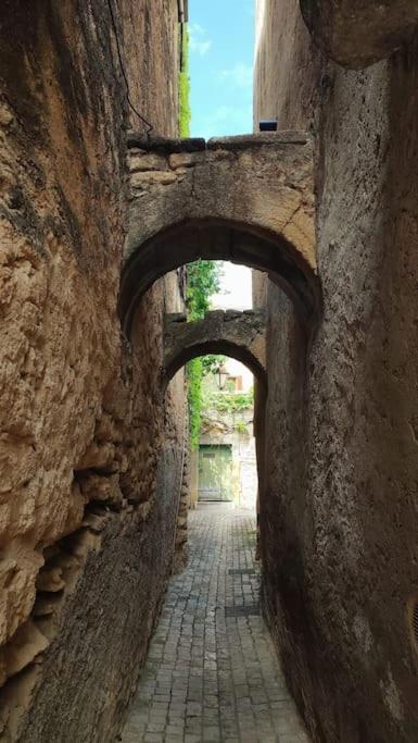 Entre Uzes Et Le Pont-Du-Gard Le Logis D'Autrefois Διαμέρισμα Castillon-du-Gard Εξωτερικό φωτογραφία